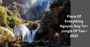Piece Of Everything Nguyen Duy Tri • Jungle Of You • 2022