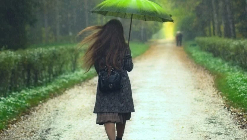 The Essence of Rainy Days: