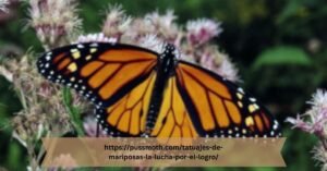 https://pussmoth.com/tatuajes-de-mariposas-la-lucha-por-el-logro/